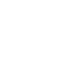 form icon