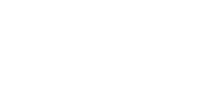 google partner logo
